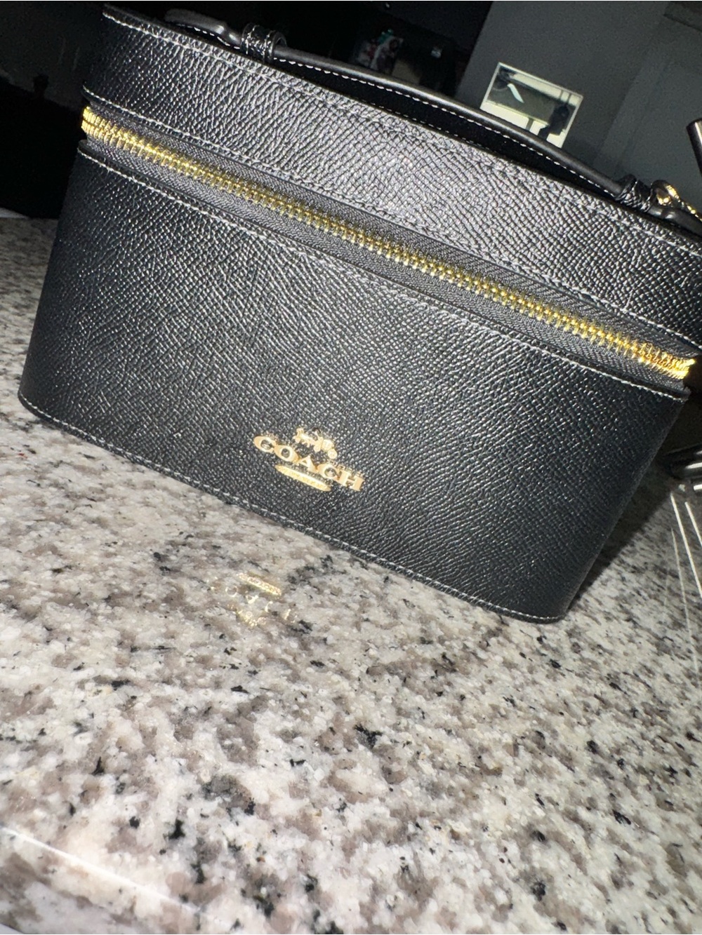 Coach cosmetic case